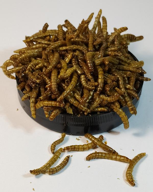 Корм для гризунів Буся Mealworm 450 мл - фото 3