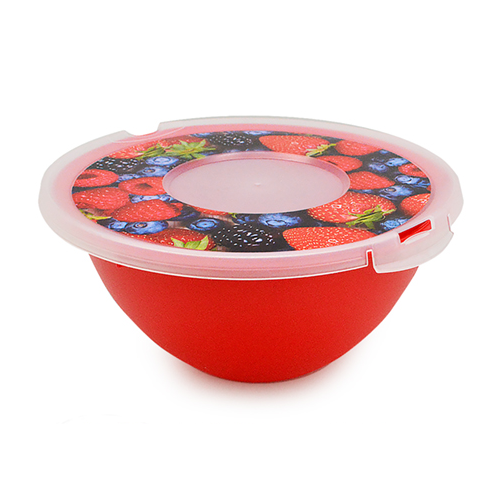 Миска-салатница Bon Appetit Stenson PB-119 с пластиковой крышкой 27,5x27,5x13 см 4 л (556638)