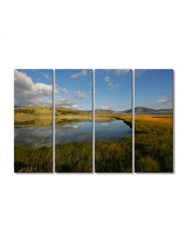 Картина модульная Степь поросшая травянистой растительностью 4 модуля 120x180 см