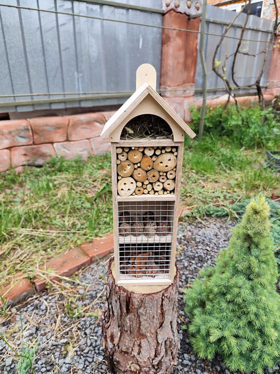 Дом для насекомых Жучок из сосновой древесины 43х17х12 см Бежевый - фото 3