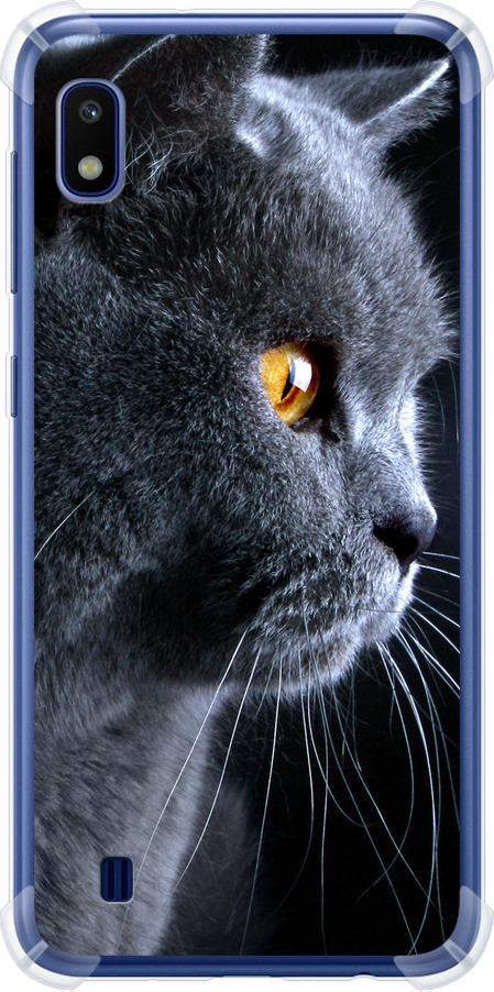 Чехол на Samsung Galaxy A10 2019 A105F Красивый кот (3038sp-1671-42517)