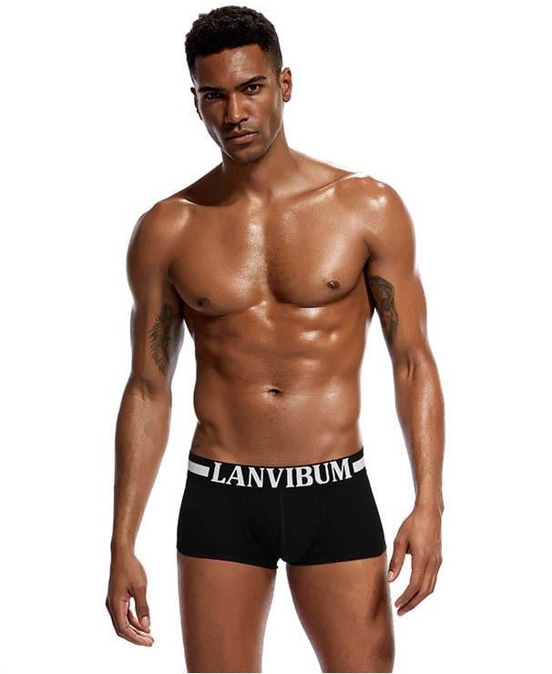 Трусы Lanvibum L Черный (4509)