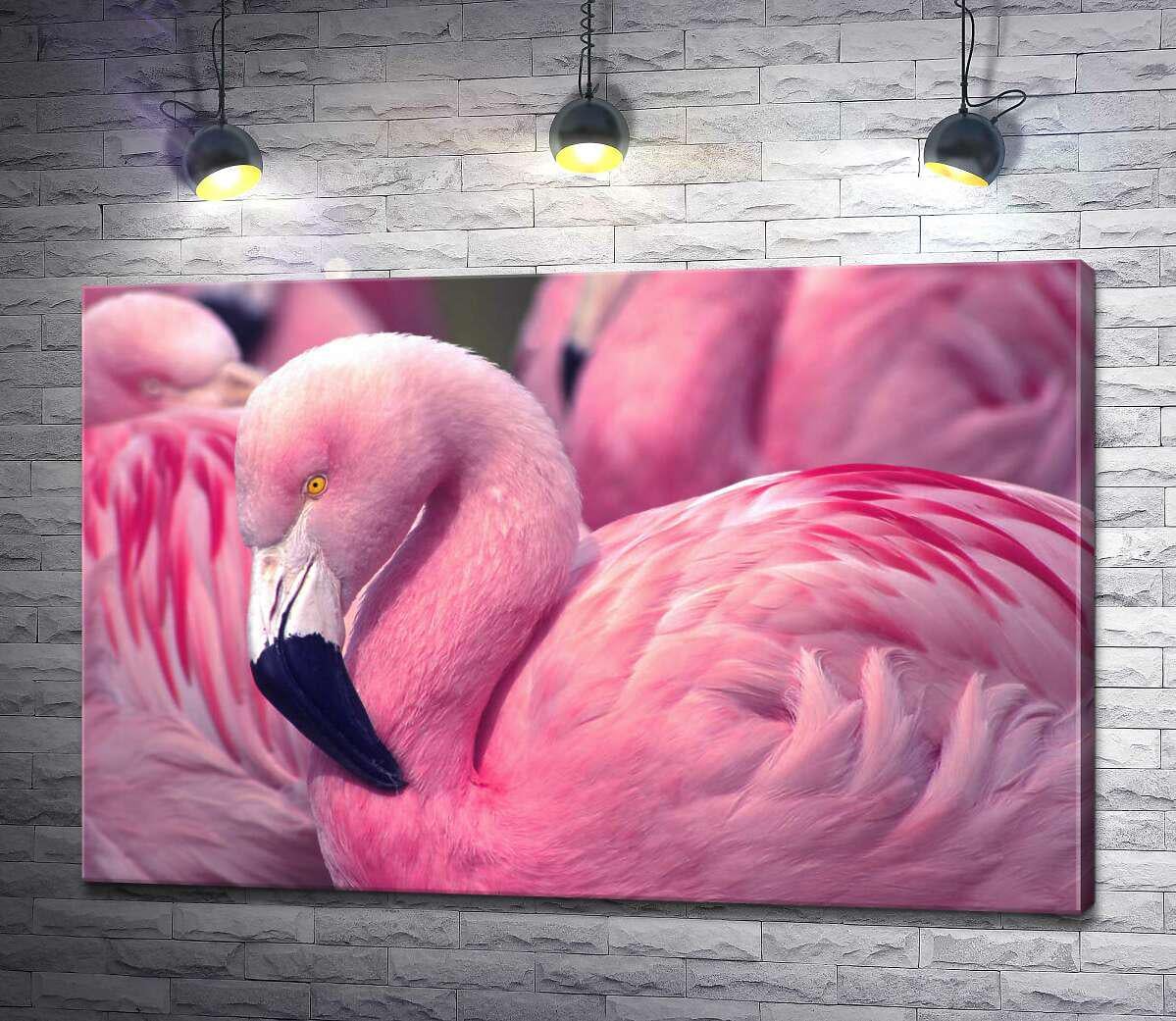 Картина ArtPoster Розовый фламинго стоит среди стаи птиц 130x86 см Модуль №1 (003404)