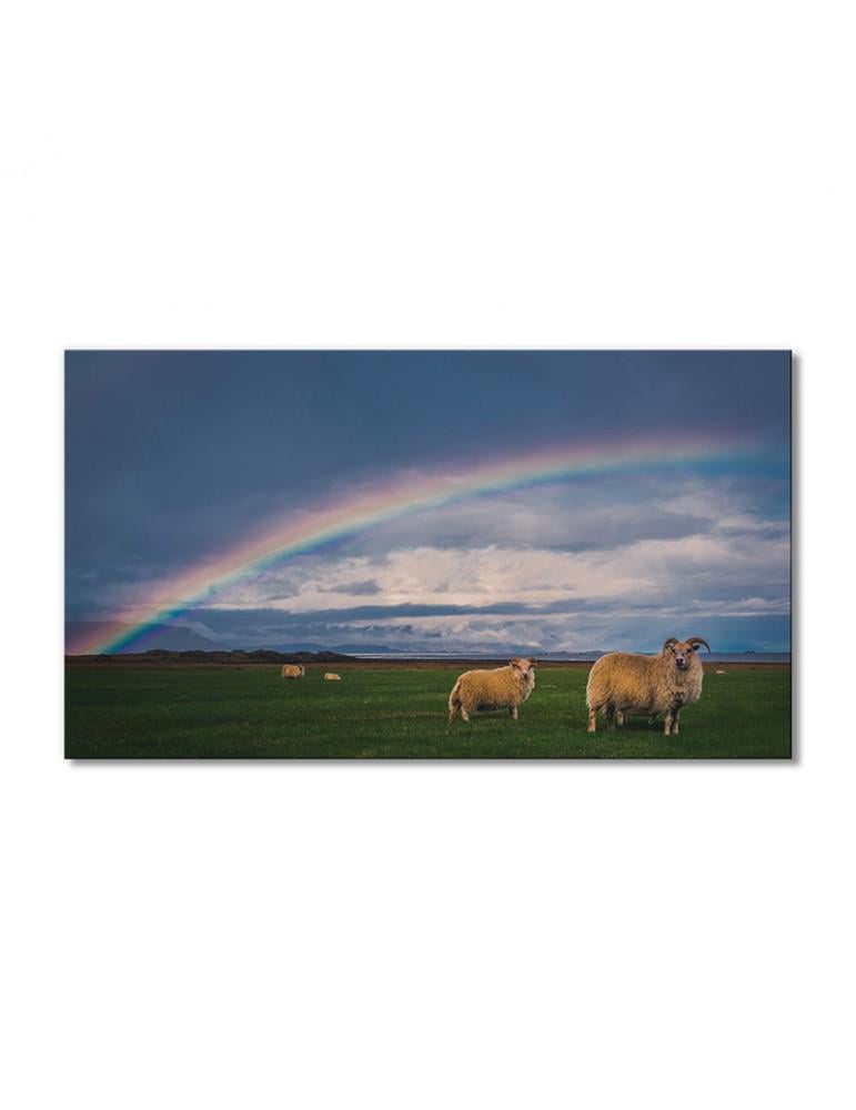 Картина модульная Радуга бараны на поле 1 модуль 30х45 см