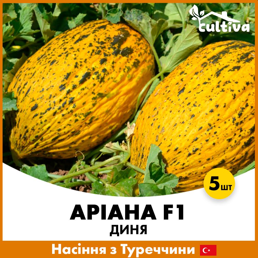 Семена дыни Libra Seeds Ариана F1 5 шт. (R51102)
