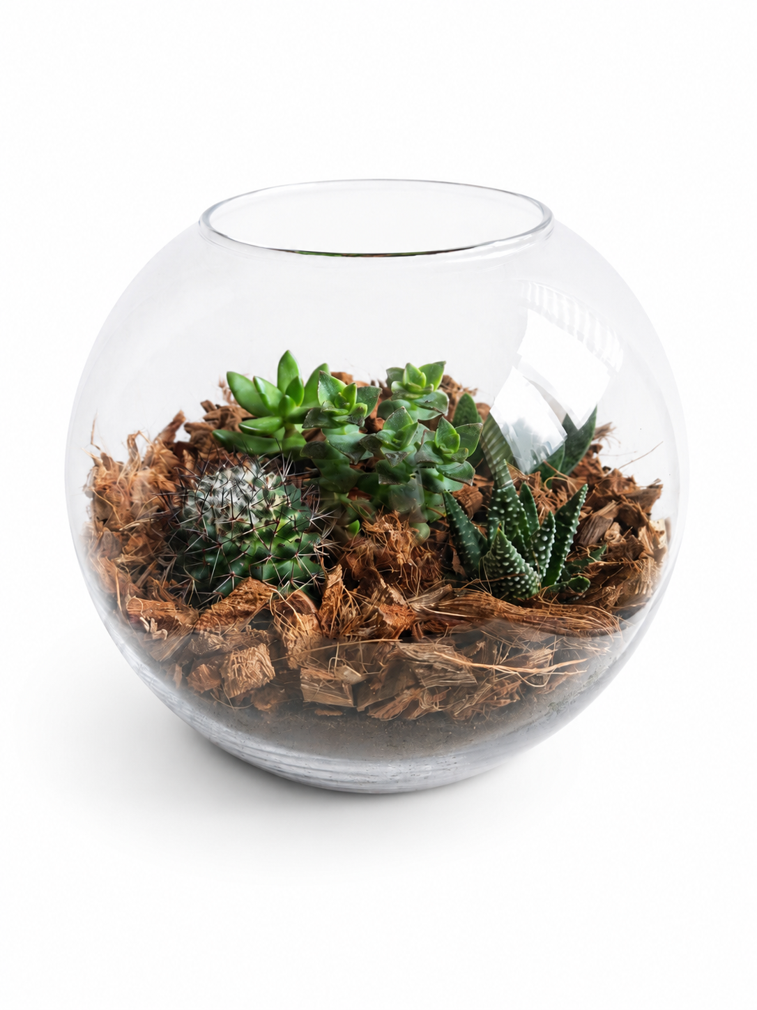 Флорариум авторский Aqua-Tech Exclusive Florarium FL002 (ATEFC002)