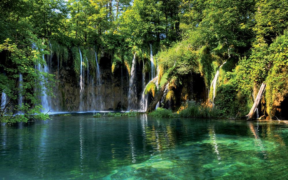 Картина Природа PR067 35х55 см