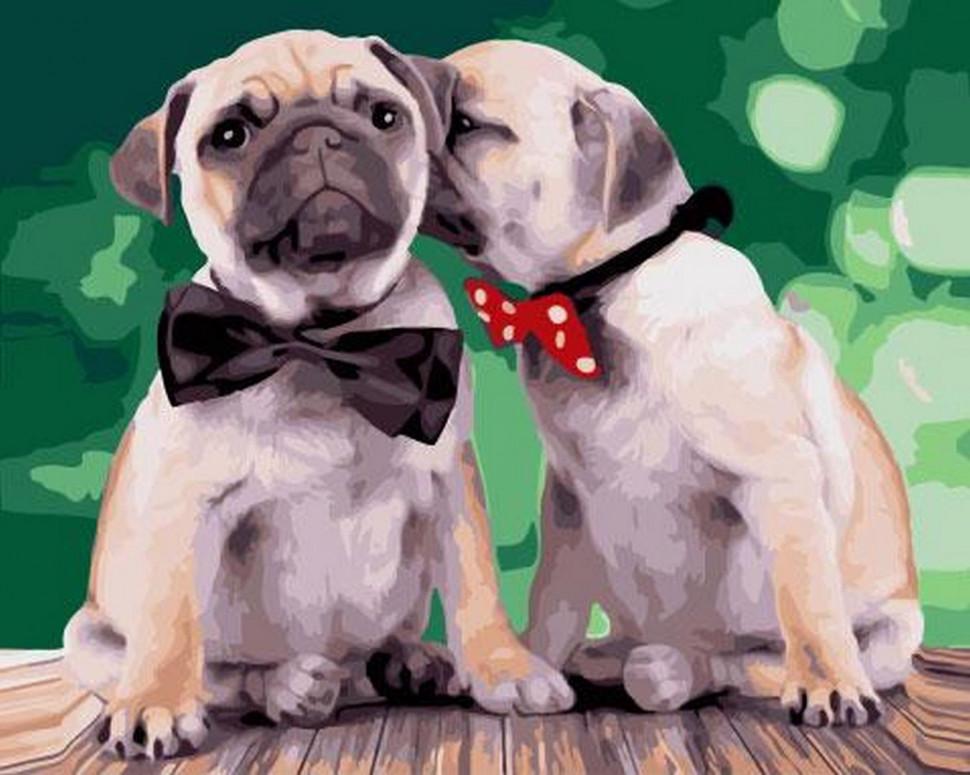 Картина по номерам Rainbow Art Интеллигентные мопсы (GX32826-RA)