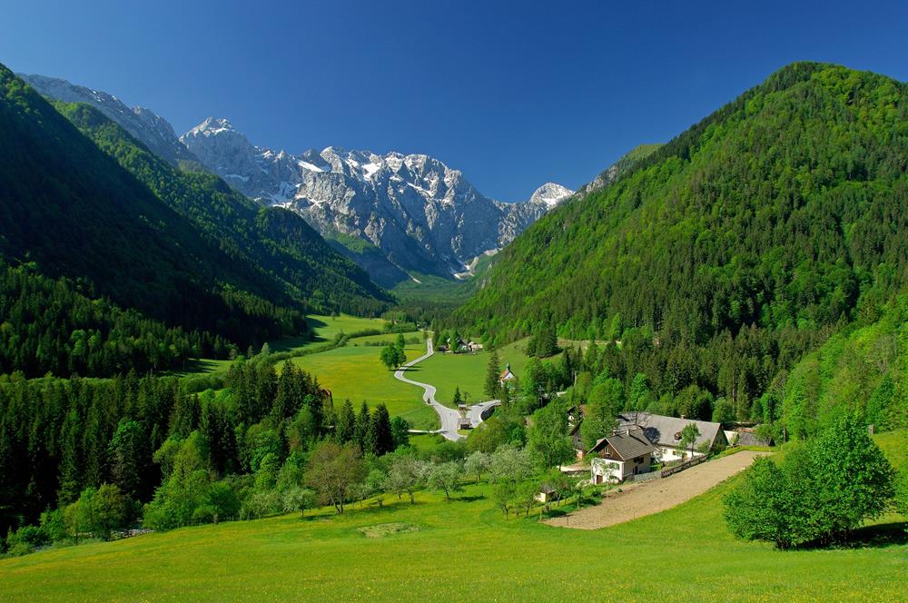 Картина Природа PR179 55х85 см