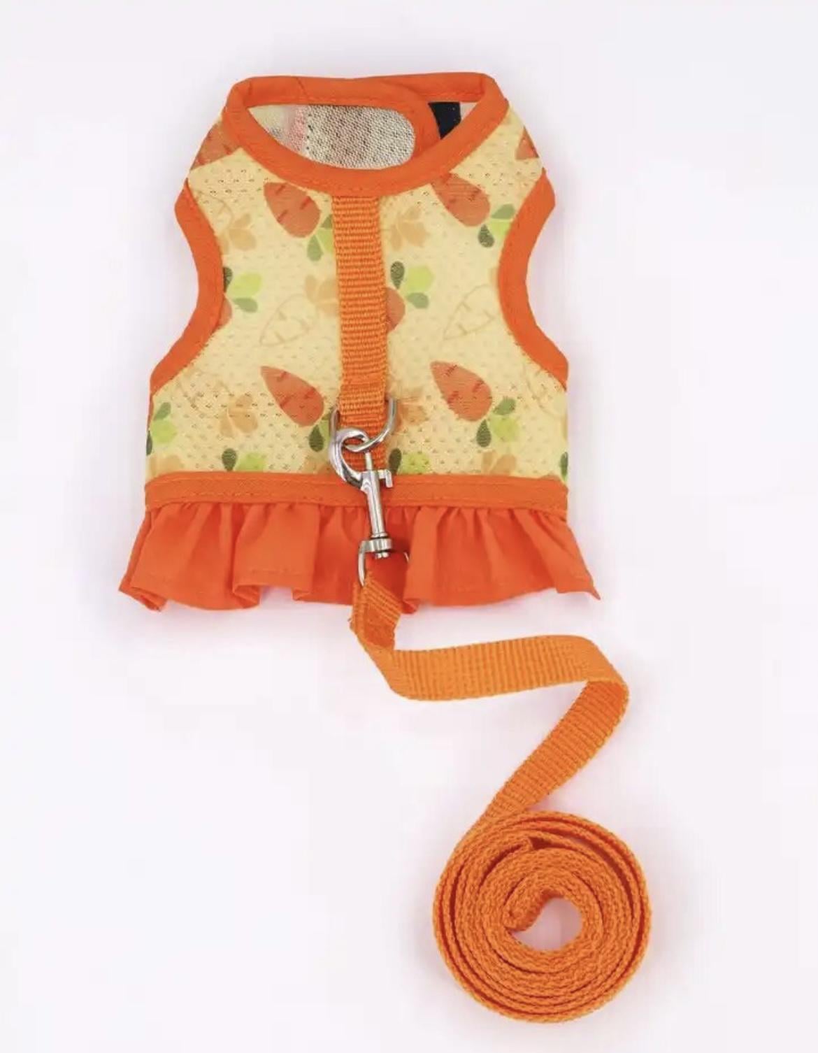 Шлея с поводком YOLLY S Orange (4554)