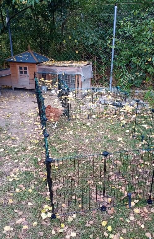 Клітка для гризунів 46х143х73 см - фото 30 Клітка для гризунів 46х143х73 см - фото 30