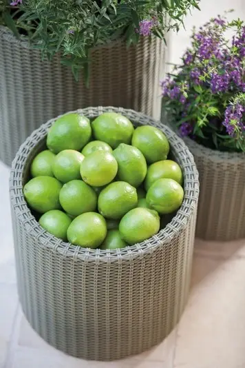 Горшок уличный Keter Large Cylinder Planter круглый (CNT00012167) - фото 3 Горшок уличный Keter Large Cylinder Planter круглый (CNT00012167) - фото 3