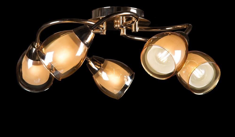 Люстра с плафонами Ray L20105/5 CR+FGD (IR005515)