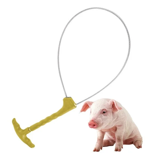 Петля для фіксації свиней/кіз/овець із нержавіючої сталі (AN00174) - фото 2 Петля для фіксації свиней/кіз/овець із нержавіючої сталі (AN00174) - фото 2