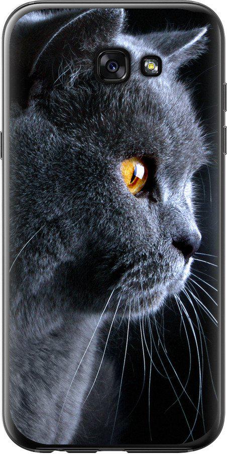 Чехол на Samsung Galaxy A7 (2017) Красивый кот (3038t-445-42517)