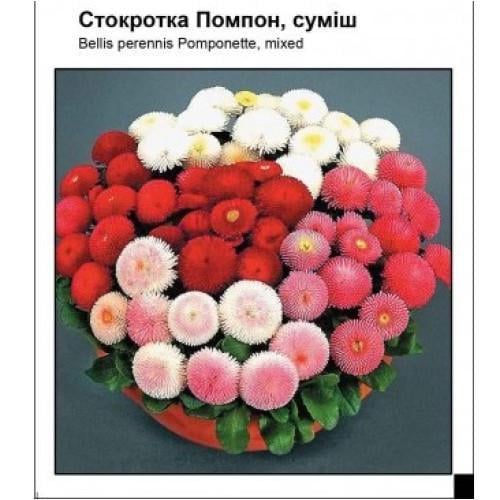 Семена цветов Садиба Маргаритка Помпон смесь 0,05 г (SZ-1040)