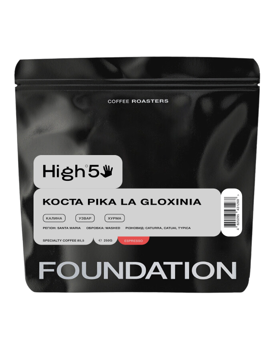 Кава в зернах Foundation Coffee Roasters High5 Коста Ріка LA GLOXINIA 250 г