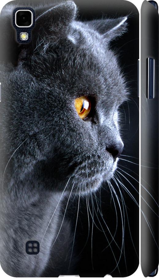 Чохол на LG X Power K220DS Гарний кіт (3038m-398-42517)