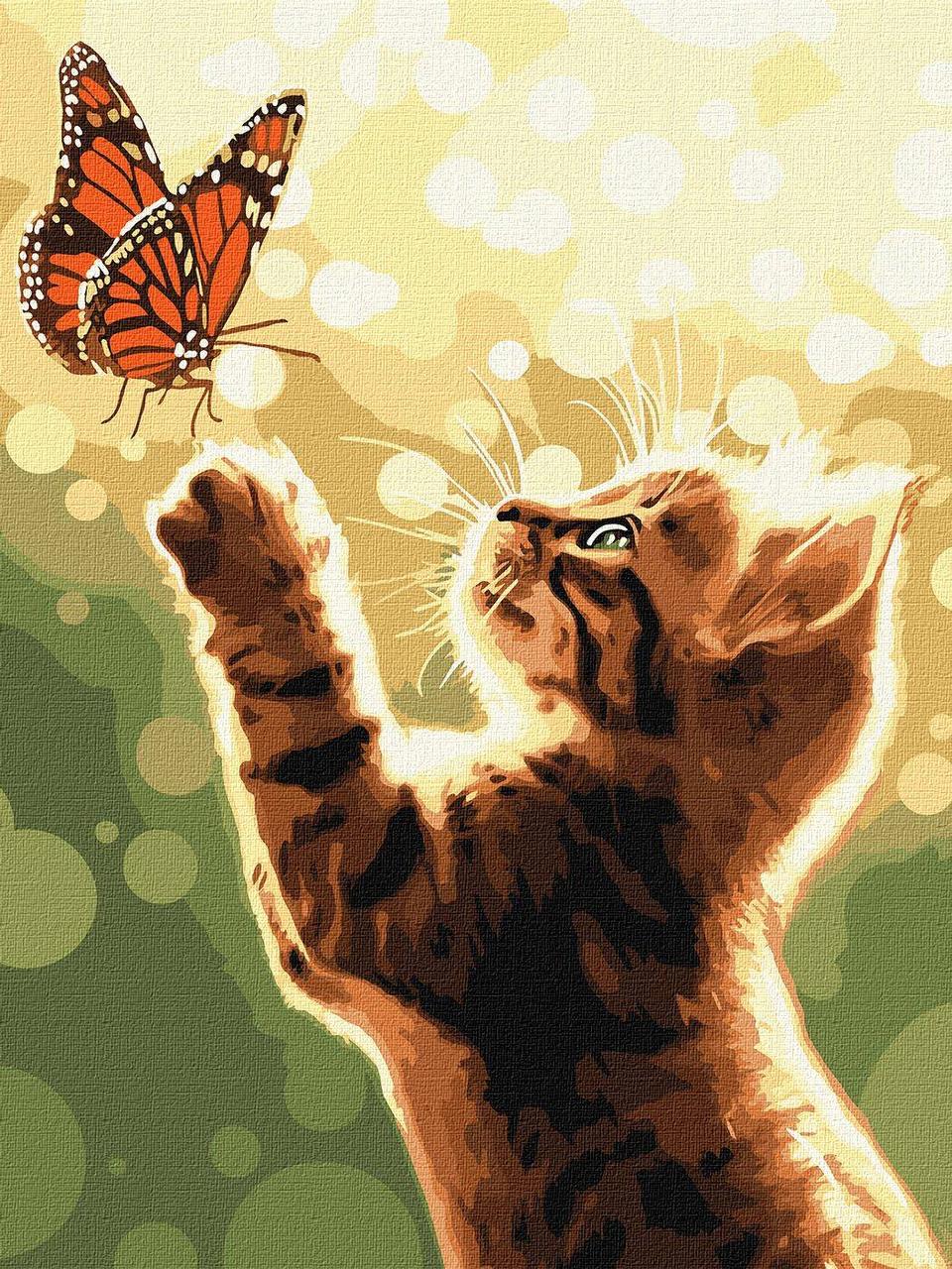 Картина по номерам Ideyka Кот и бабочка 30х40 см (2824287579)