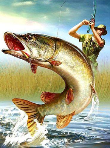 Картина по номерам Josef Otten Рыбы Щука 40х50 см в термопакете (6101EOTG_O-mt)