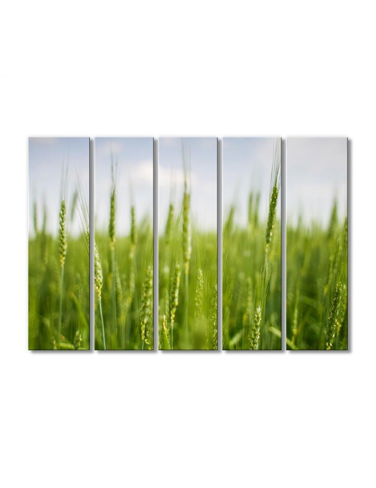 Картина модульная Поле колосков 5 модулей 80x120 см