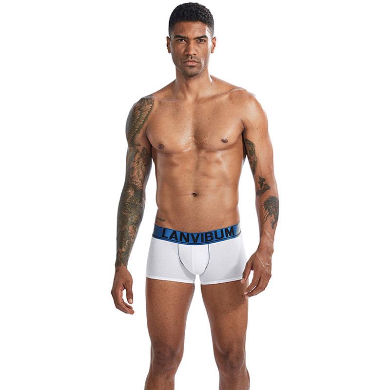 Трусы Lanvibum M Белый (7464)