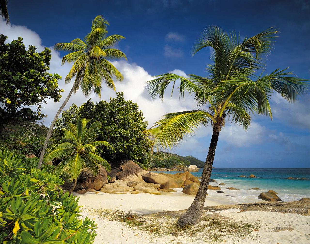 Фотошпалери на паперовій основі Komar 8-885 Фотошпалери Praslin 254х368 см (2000000465265) Фотошпалери на паперовій основі Komar 8-885 Фотошпалери Praslin 254х368 см (2000000465265)