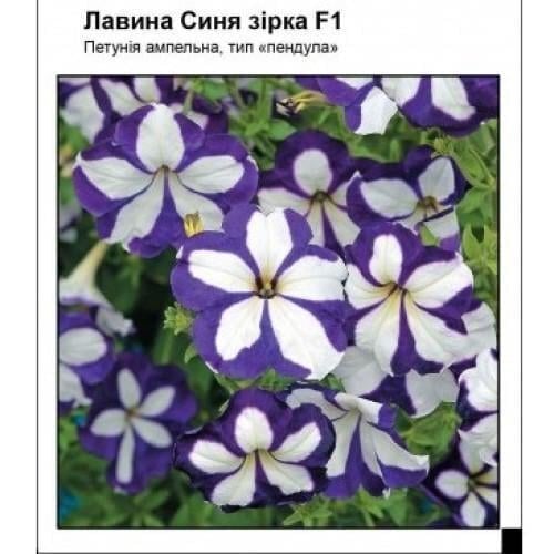 Семена цветов Петуния Лавина F1 синяя звезда Частный дом Центр 10 шт. (SZ-0900)