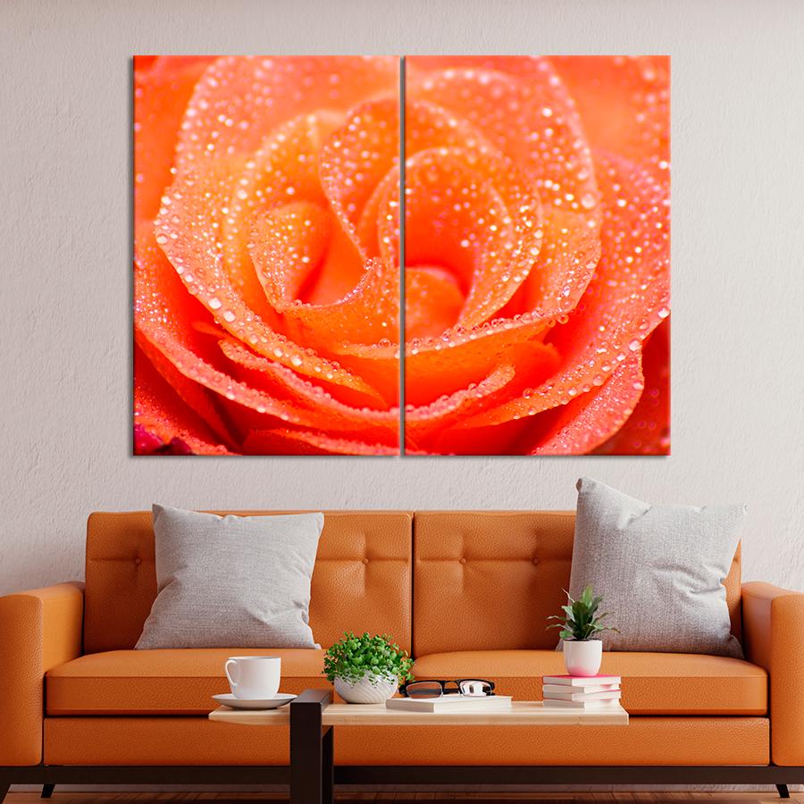 Картина цветы и растения Персиковая роза в росе 165x122 см (A1040-2)