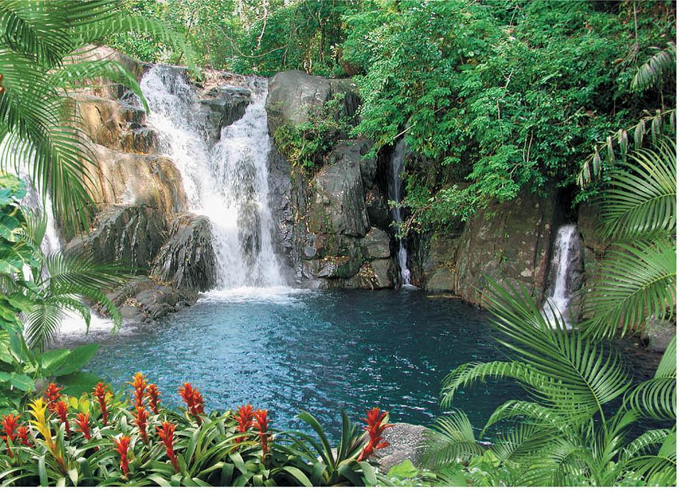 Фотообои на бумажной основе Artdecor Чаша Афродиты 134х194 см (2000000451541)