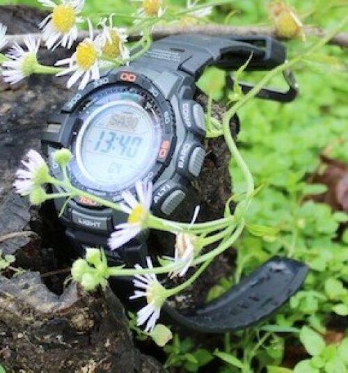 Наручний годинник чоловічий Casio PRG-270-1ER (109522) - фото 2 Наручний годинник чоловічий Casio PRG-270-1ER (109522) - фото 2