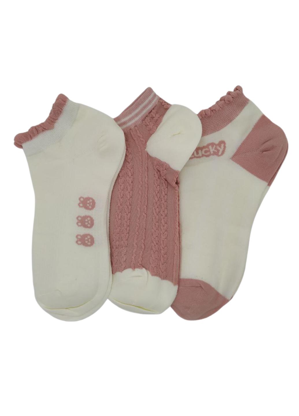 Набор носков женских Pink Rabbit 899-01 р. 36-39 3 шт. Разноцветный (12562160)