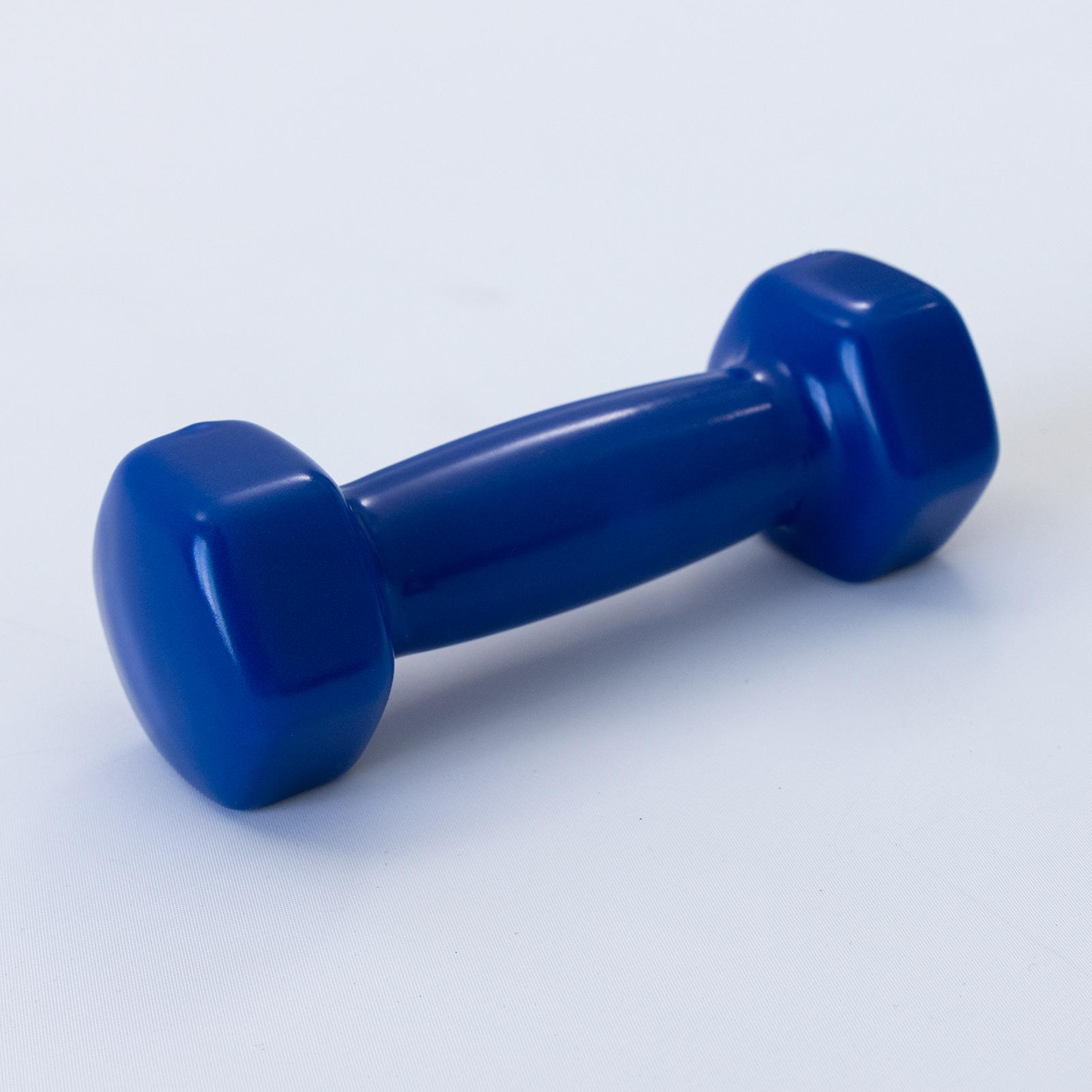 Гантель для фитнеса OSPORT Profi FI-0105-4 1,5 кг Синий