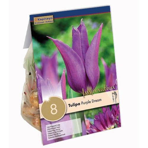 Тюльпан Florium Purple Dream брендовые луковицы Kapiteyn (15349)