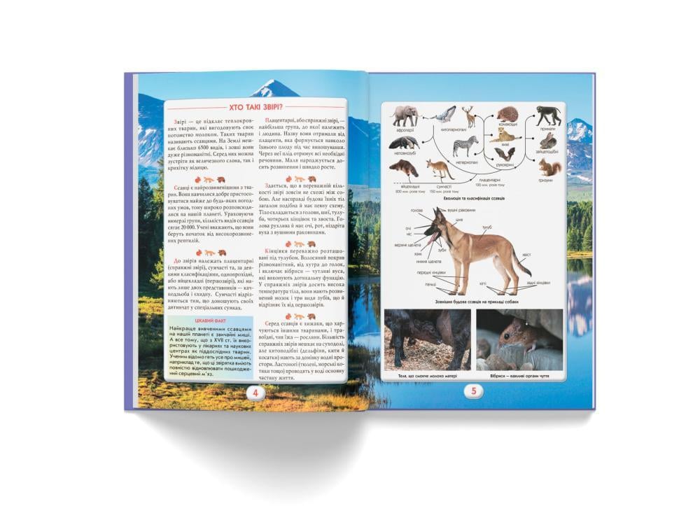 Книга "Ви маєте це знати. Світ звірів" (F00031321) - фото 6 Книга "Ви маєте це знати. Світ звірів" (F00031321) - фото 6