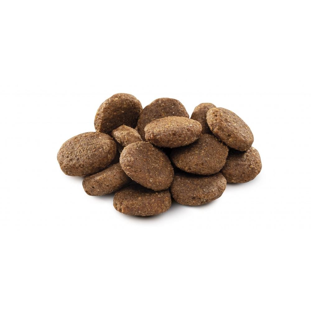 Корм сухой Brit Premium Senior L-XL для пожилых собак крупных и гигантских пород 15 кг (170829/6482) - фото 2