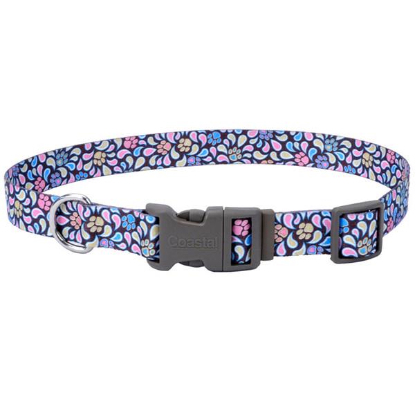 Ошейник для собак Coastal Pet Attire Styles 1,6х25-36 см (06421_SPB14)