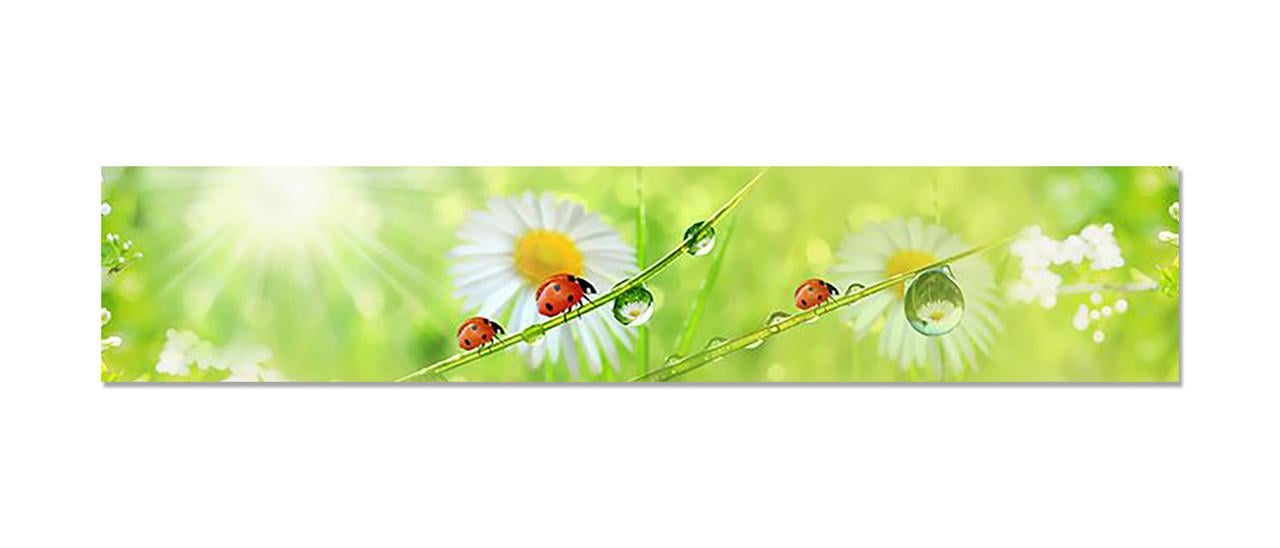 Наклейка виниловая на кухню Zatarga Ромашки/Божьи коровки 600х3000 мм (1283915553)