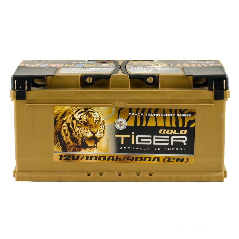 Акумулятор Tiger 100 Аh/12V Gold (AFS100-G00)