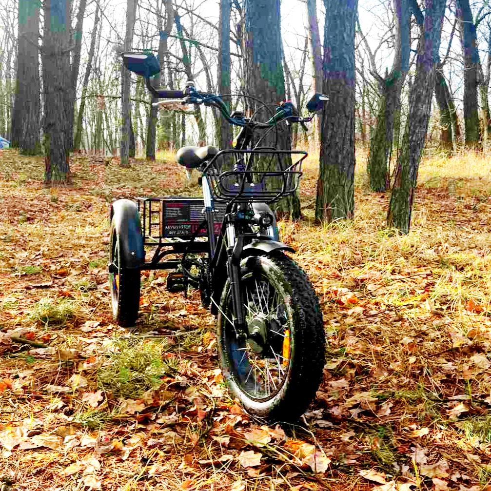 Електровелосипед триколісний Tiras City FAT2 2020 48 V/500 W 27 Ah - фото 8 Електровелосипед триколісний Tiras City FAT2 2020 48 V/500 W 27 Ah - фото 8