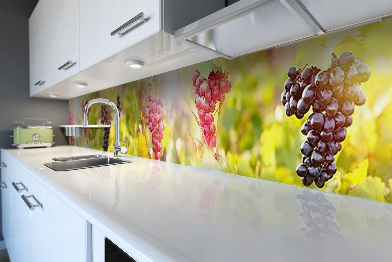 Кухонный фартук Грозди винограда и солнце из самоклеющейся виниловой пленки 65х250 см Зеленый