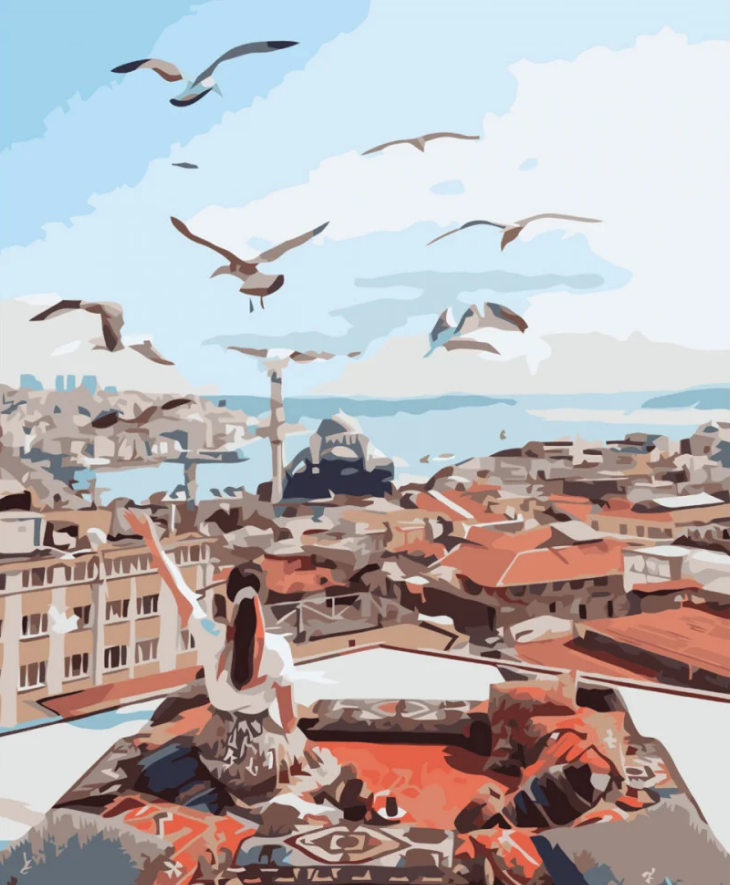 Картина по номерам Strateg На крыше Стамбула 40x50 см (VA-3768)