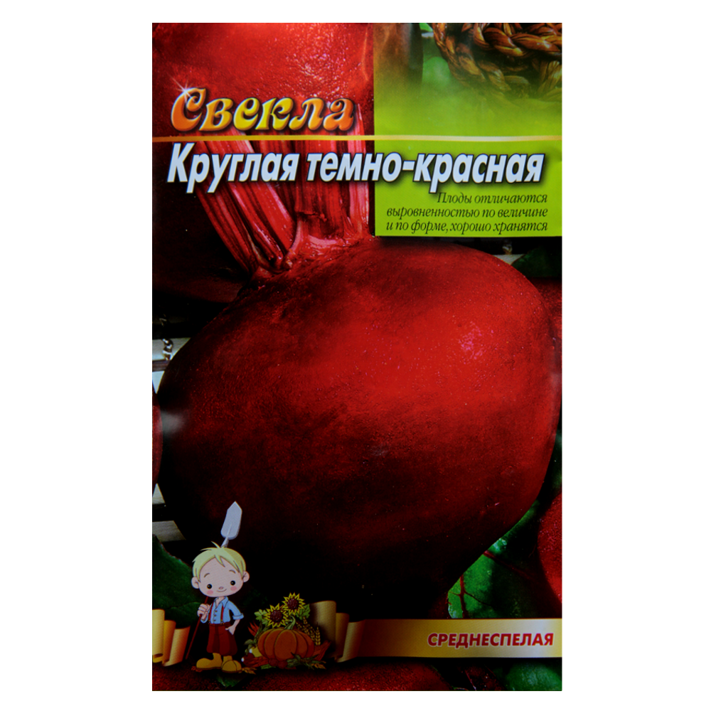 Насіння буряка круглий середньостиглий 10 г (22888)