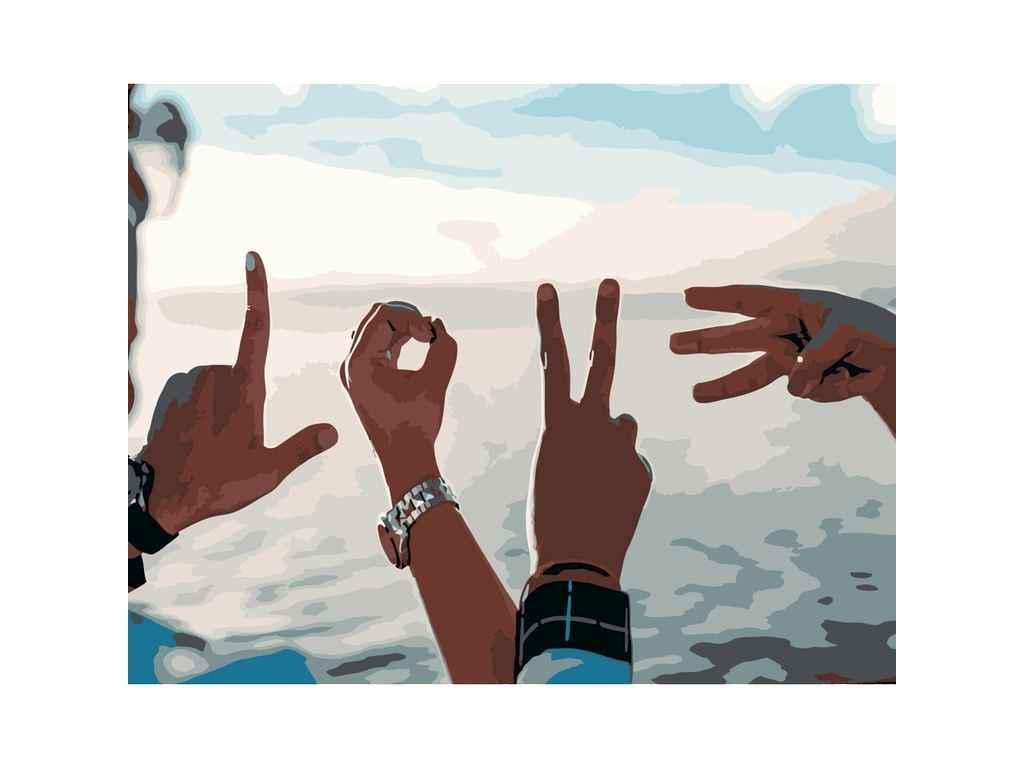 Картина по номерам Strateg Love 40х50 см (DY077)