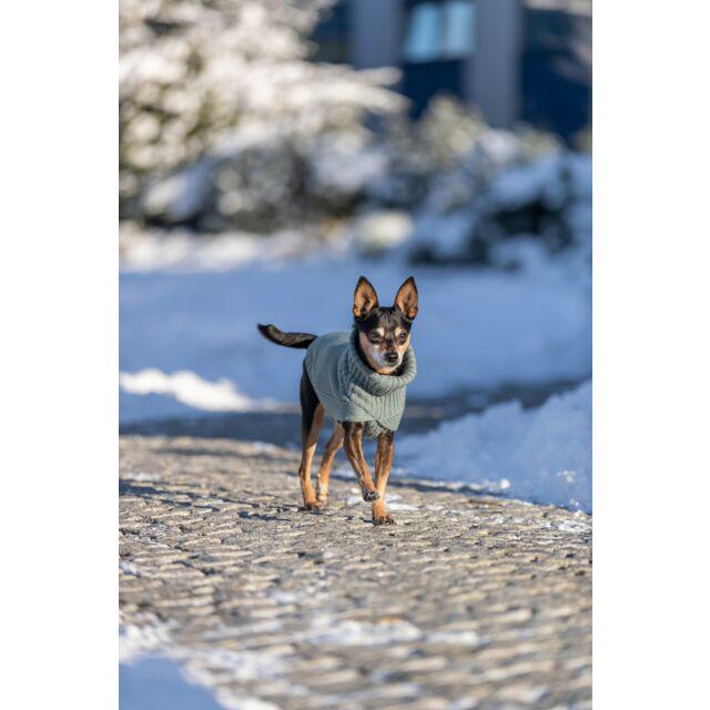 Пуловер Trixie CityStyle Berlin для собак 33 см Шавлія (TX-680183) - фото 5