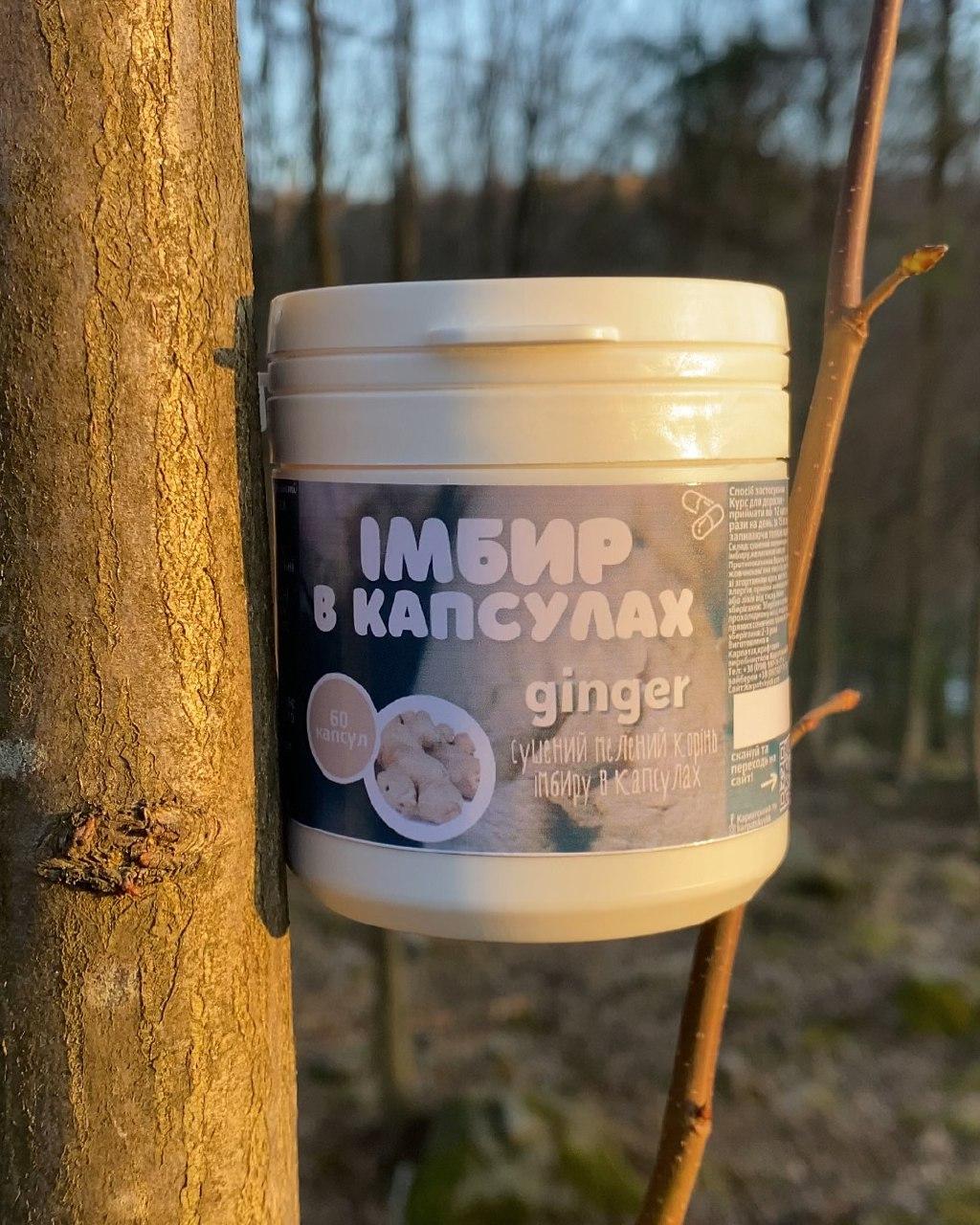 Імбир в капсулах 60 шт. (2589140555)