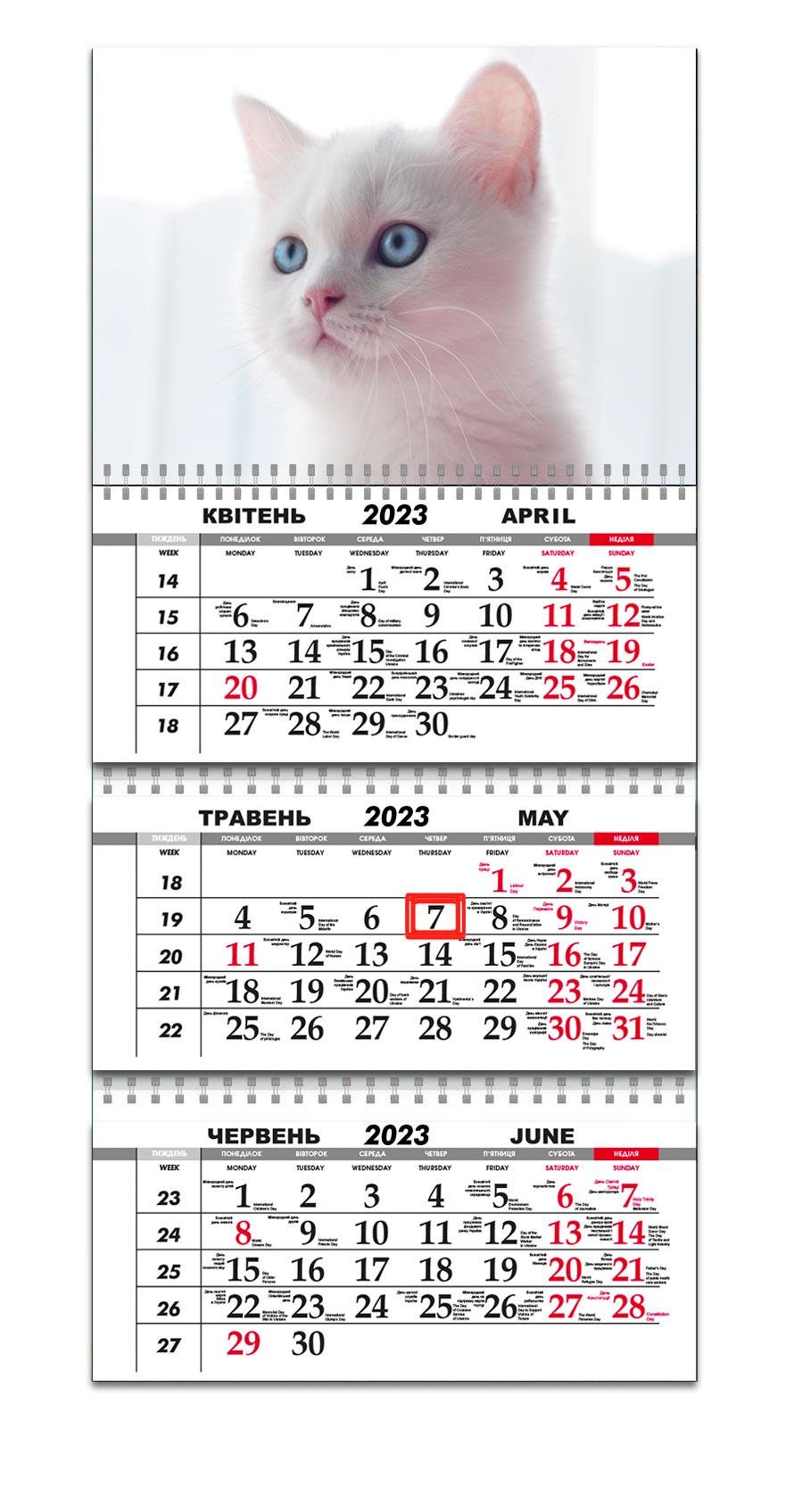 Календарь квартальный Apriori Символ року/Кот на 2023 год 12 вид 30х61 см