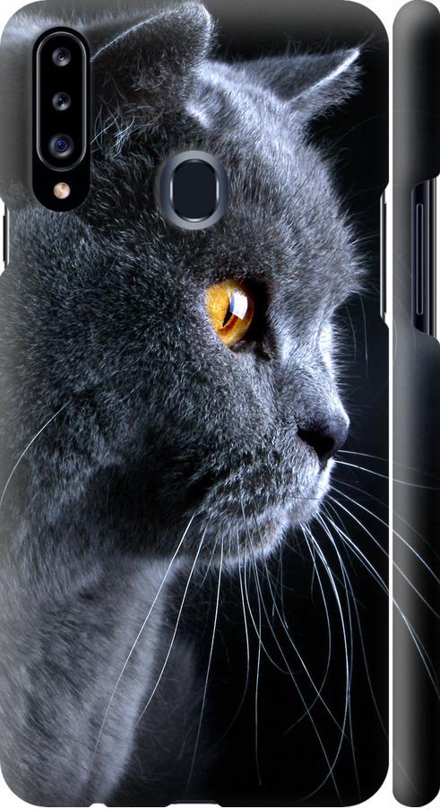 Чехол на Samsung Galaxy A20s A207F Красивый кот (3038m-1775-42517)