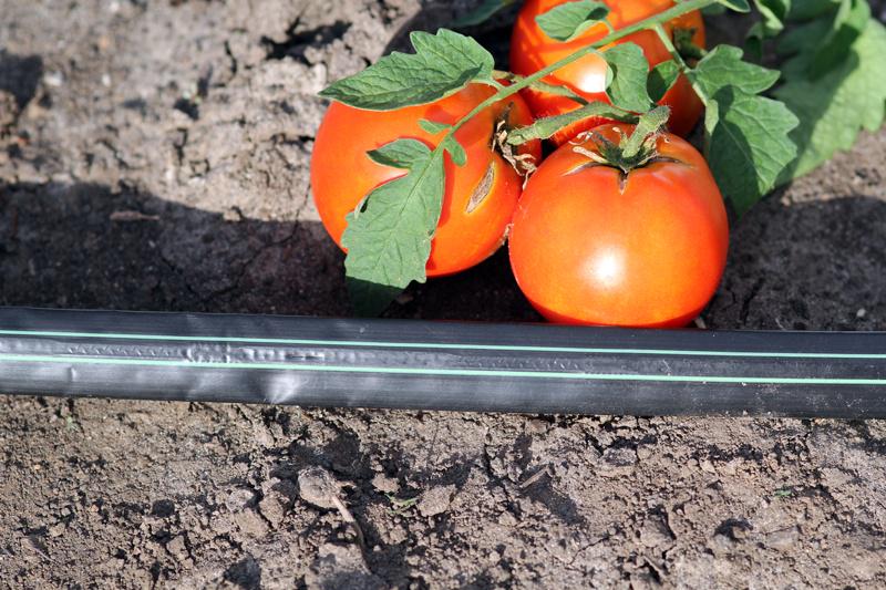 Капельная лента Presto-PS щелевая Blue Line отверстия через 10 см расход воды 1,4 л/ч 500 м (BL-10-500) - фото 13 Капельная лента Presto-PS щелевая Blue Line отверстия через 10 см расход воды 1,4 л/ч 500 м (BL-10-500) - фото 13