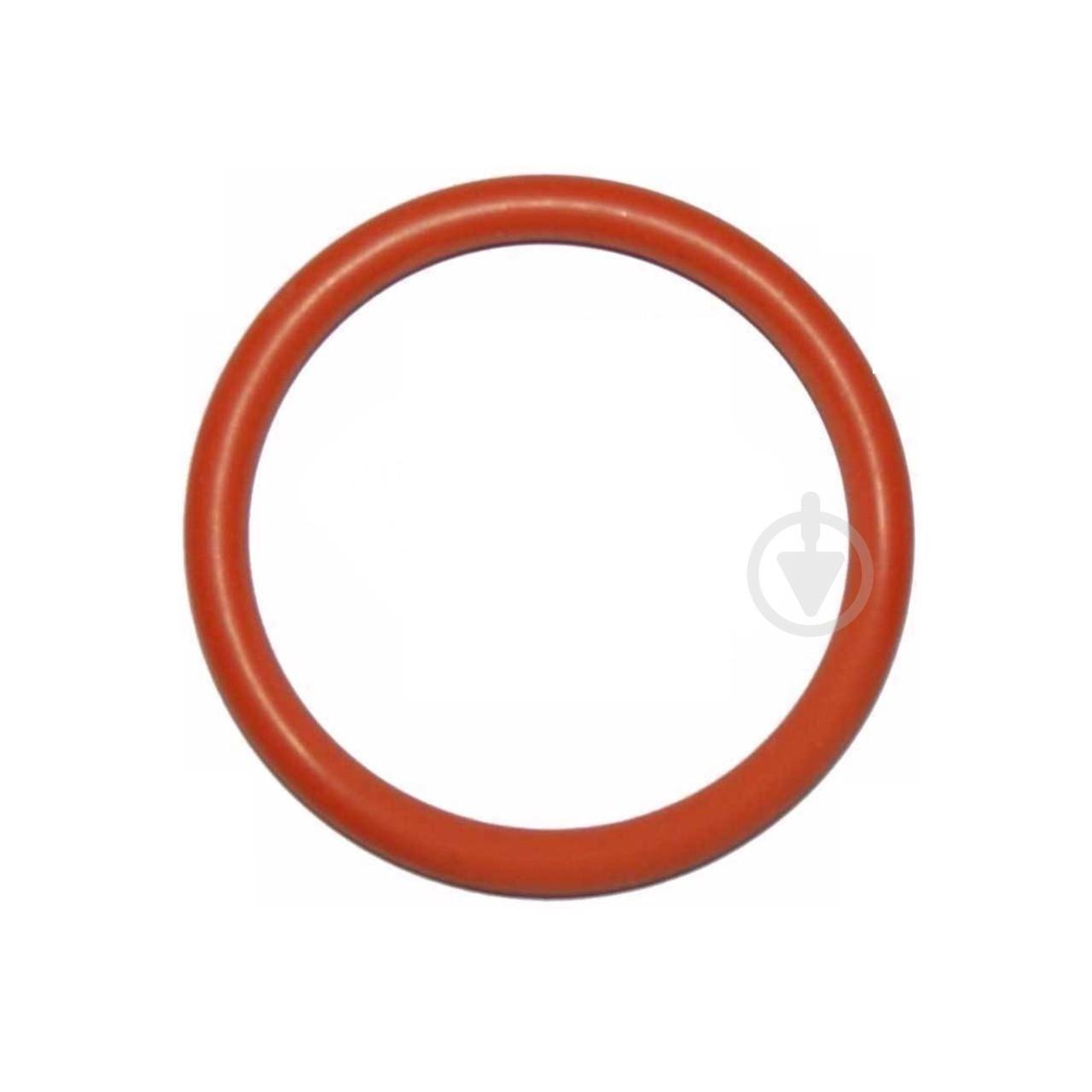 Уплотнительное кольцо для кофемашины Saeco&Philips (1143950024)